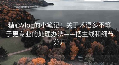 糖心Vlog的小笔记：关于术语多不等于更专业的处理办法——把主线和细节分开